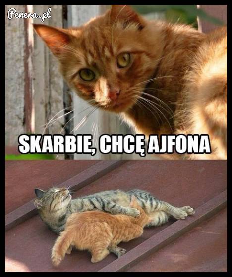 Skarbie chcę ajfona