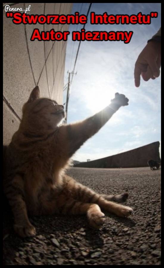 Stworzenie internetu