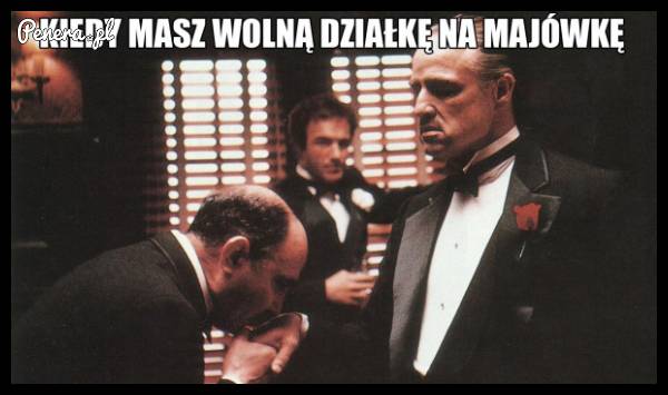 Ta wdzięczność kumpli