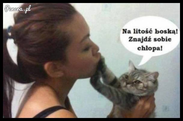 Tak właśnie widzę kobiety wrzucające zdjęcia ze swoim kotem