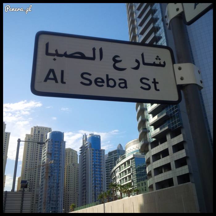 W Dubaju szanują polskich Sebixów