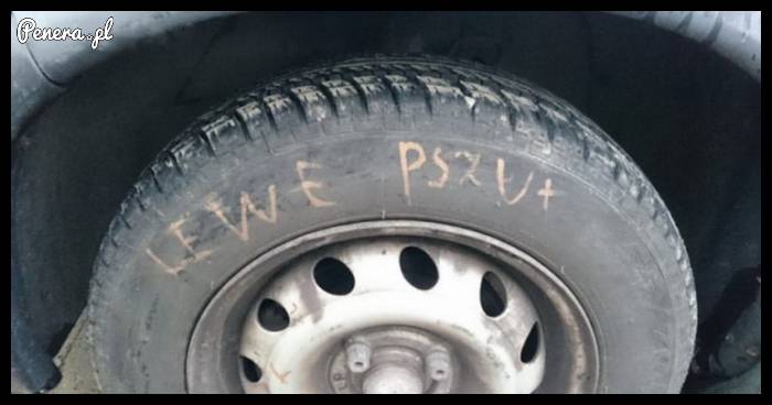 Wulkanizacyjny mistrz ortografii