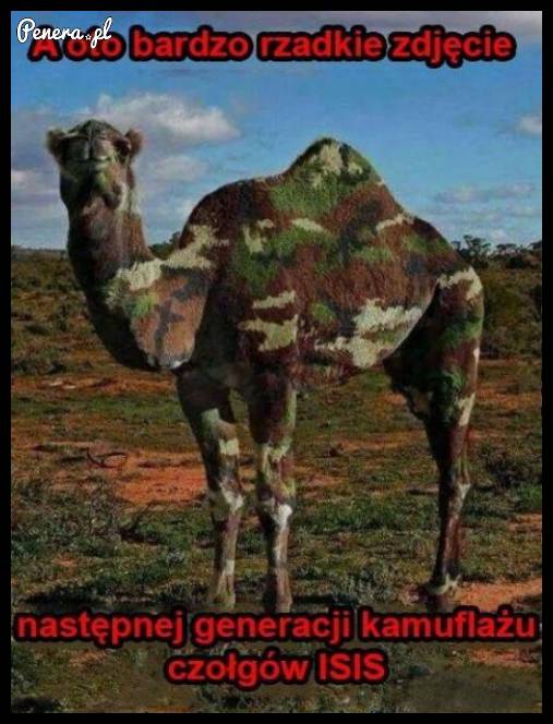 A oto bardzo rzadkie zdjęcie