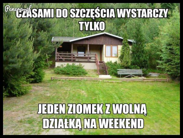 Czasami do szczęścia wystarczy tylko