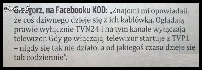 Dramat Grzegorza z KODu