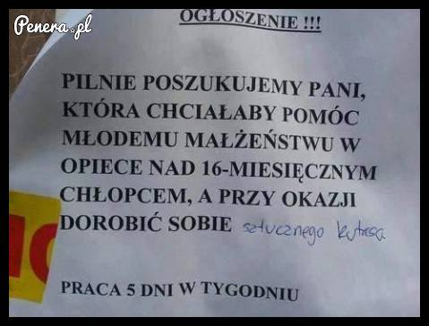 Gdyby któraś chciała sobie dorobić