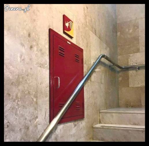 Gdyby się paliło to wiadomo gdzie jest wąż