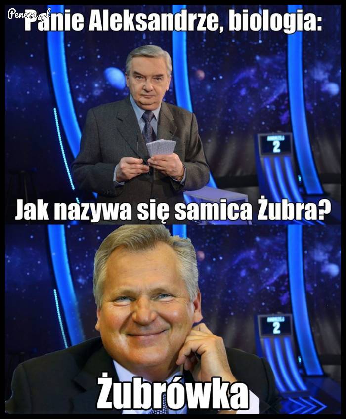 Jak nazywa się samica Żubra