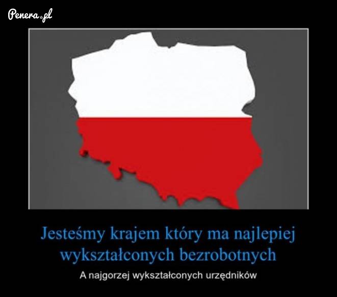 Jesteśmy krajem z najlepiej wykształconymi bezrobotnymi