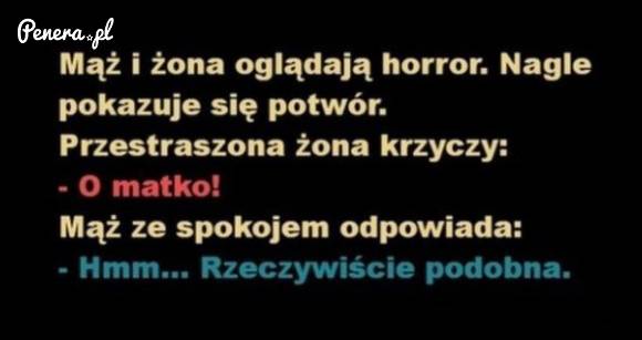 Kawał - Mąż i żona oglądają horror