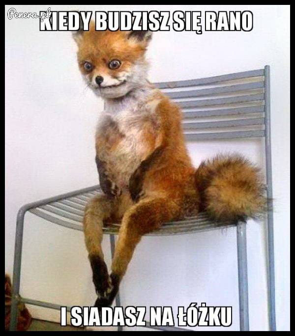 Kiedy budzisz się rano i siadasz na łóżku