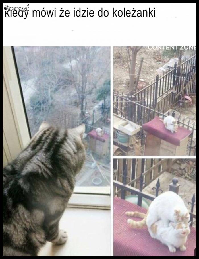 Kiedy mówi że idzie do koleżanki