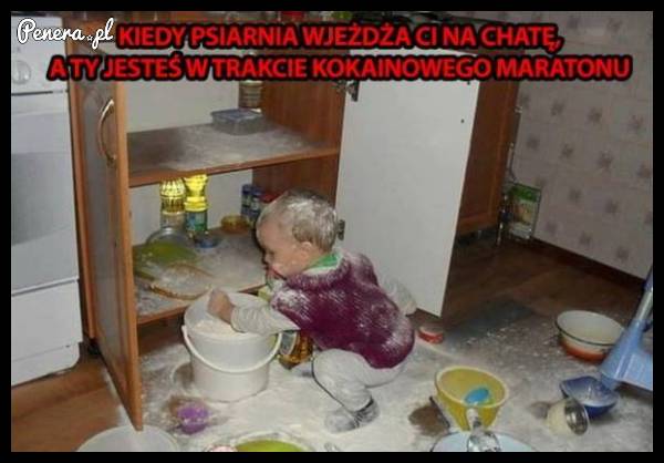 Kiedy psiarnia wjeżdża Ci na chatę