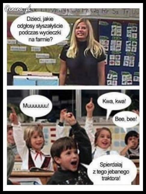 Nie ma to jak wycieczka na farmę