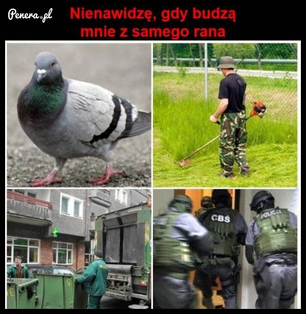 Nienawidzę gdy budzą mnie z samego rana