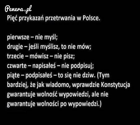 Pięć przykazań przetrwania w Polsce