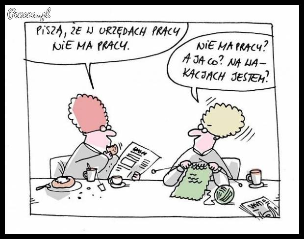 Piszą że w urzędach nie ma pracy