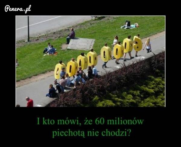 Ponoć 60 baniek piechotą nie chodzi :D