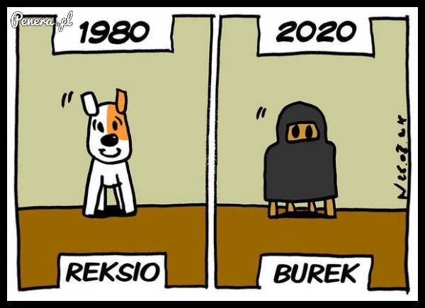 Rok 1980 kontra 2020