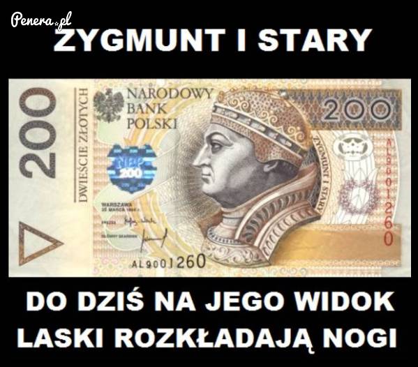 Taka prawda o Zygmuncie