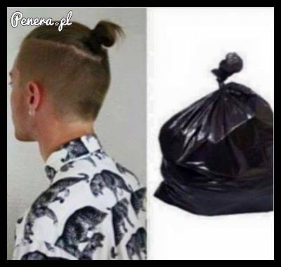 Taki kuc coś mi przypomina