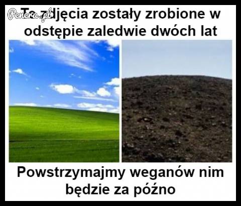 To zdjęcie zostało zrobione w odstępie dwóch lat!