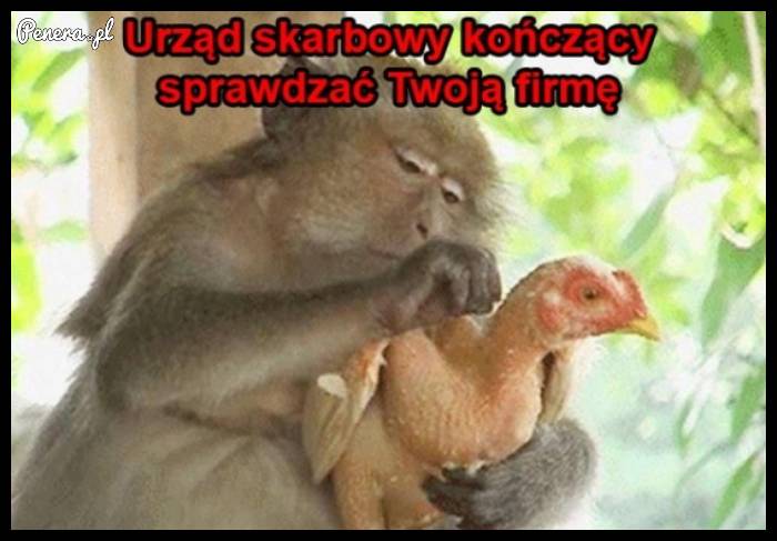 Urząd skarbowy kończący sprawdzać Twoją firmę