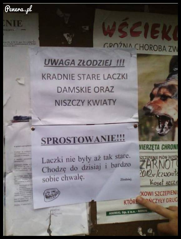 Uwaga złodziej