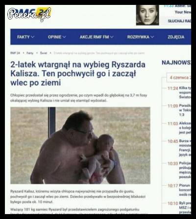 2-latek wtargnął na wybieg Ryszarda Kalisza