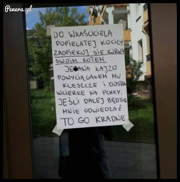 Apel do właściciela kota