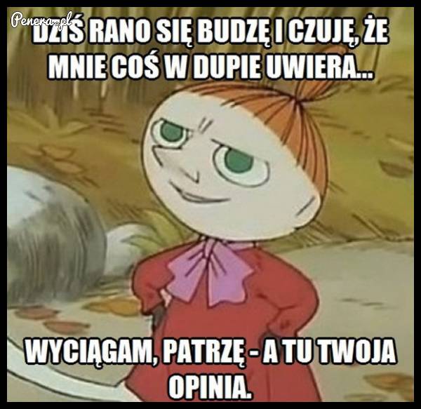 Dziś rano budzę się i czuję, że mnie coś w dupę uwiera