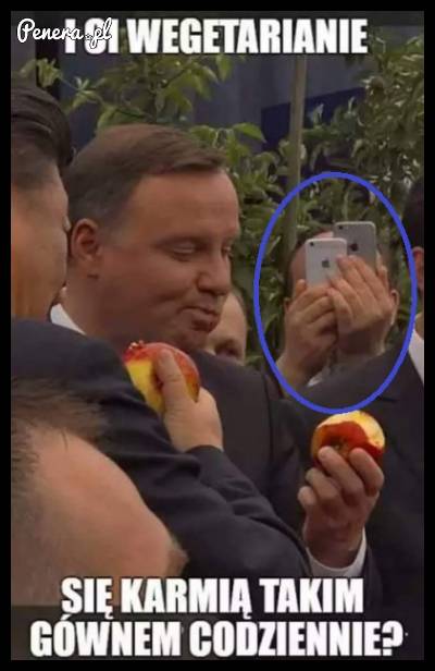 I Ci wegetarianie karmią się