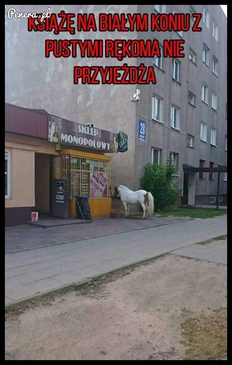 Książę na białym koniu z pustymi rękoma nie przyjeżdża