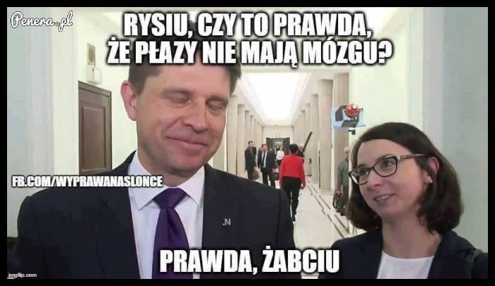 Rysiu czy to prawda że płazy nie mają mózgu