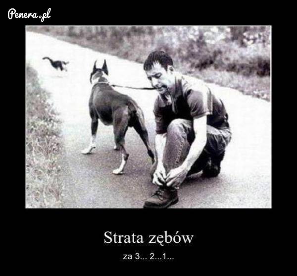 Strata zębów za 3, 2, 1