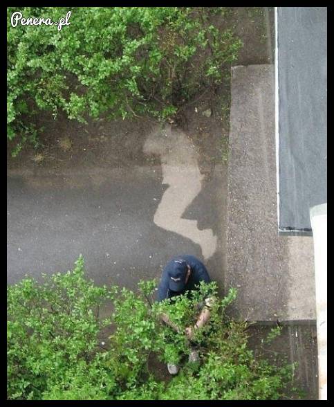 Świeży zapach porannego deszczu