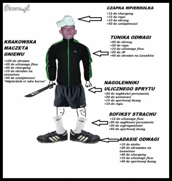 Tak mniej więcej wygląda typowy Seba