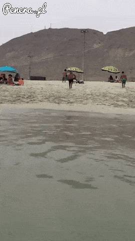 Tak się skacze do wody!