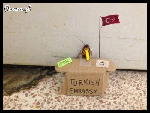 Turecka ambasada
