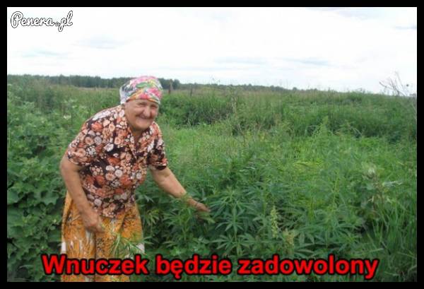 Wnuczek będzie zadowolony!