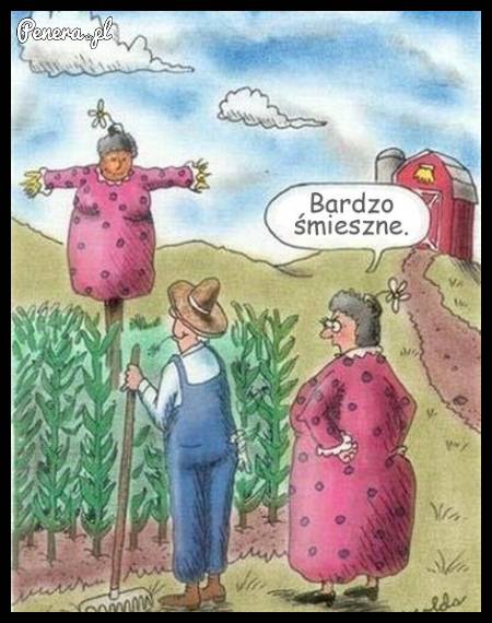 Zobacz jakiego stracha na ptaki zmontowałem