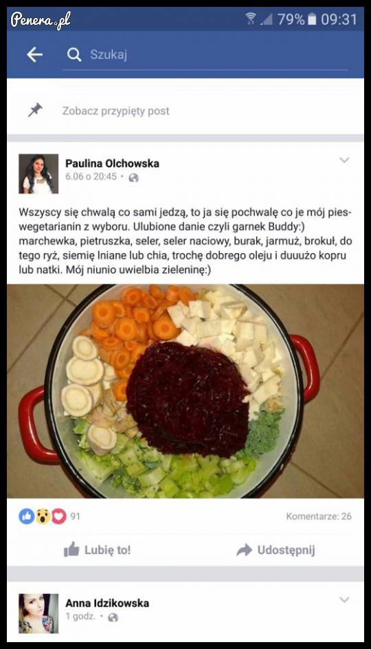 Zrobiła z psa wegetarianina