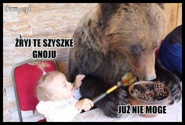Żryj te szyszki gnoju