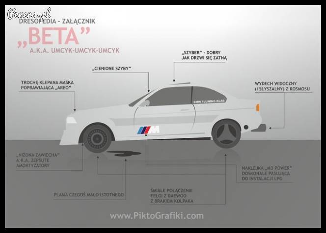 Beta prawilnego kozaka