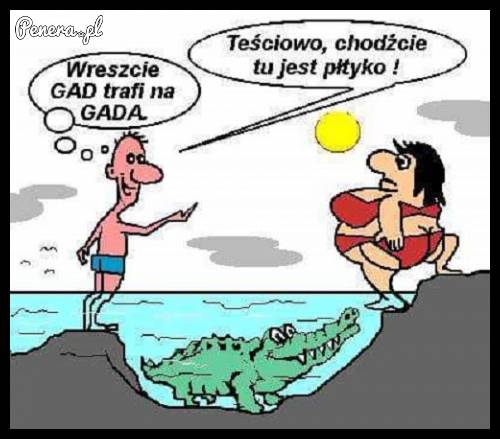 Biedny krokodyl ;)