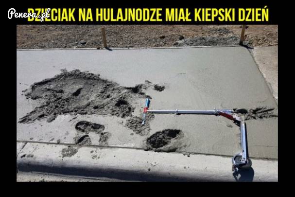 Dzieciak na hulajnodze miał kiepski dzień