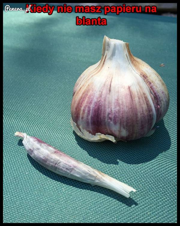 Kiedy nie masz papieru na blanta