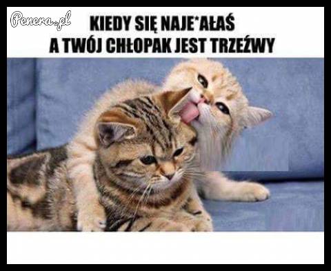Kiedy się naje**łaś