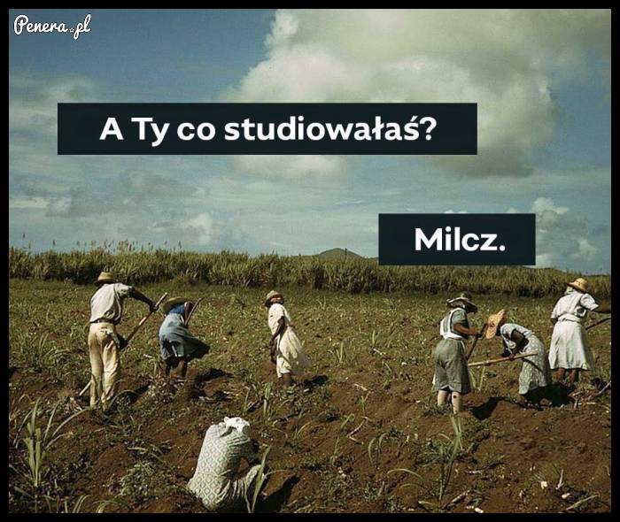 Kiedy w pracy zapytają co studiowałeś