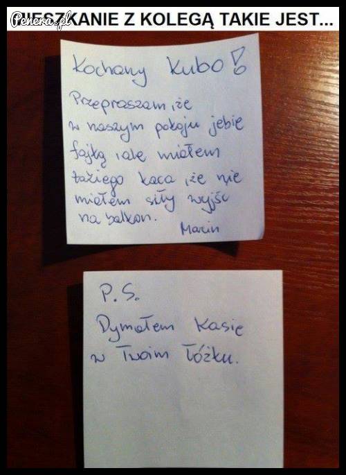 Mieszkanie z kolegą takie jest